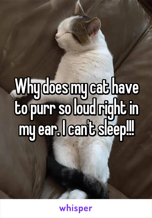 Why does my cat have to purr so loud right in my ear. I can't sleep!!!