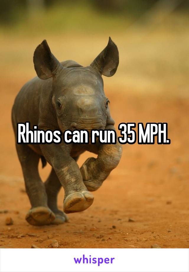 Rhinos can run 35 MPH. 