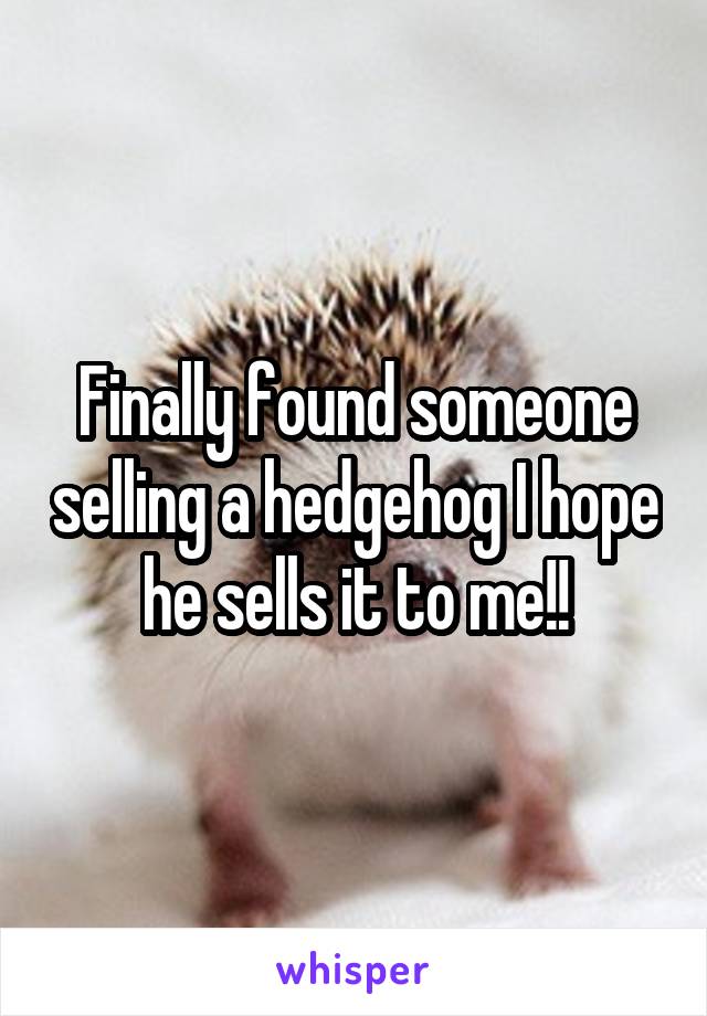 Finally found someone selling a hedgehog I hope he sells it to me!!