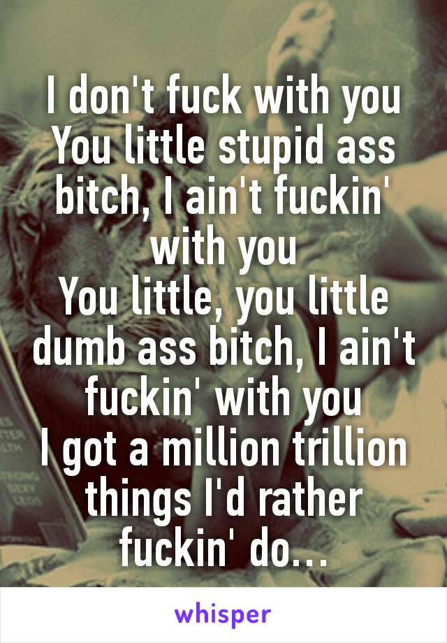 I don't fuck with you
You little stupid ass bitch, I ain't fuckin' with you
You little, you little dumb ass bitch, I ain't fuckin' with you
I got a million trillion things I'd rather fuckin' do…