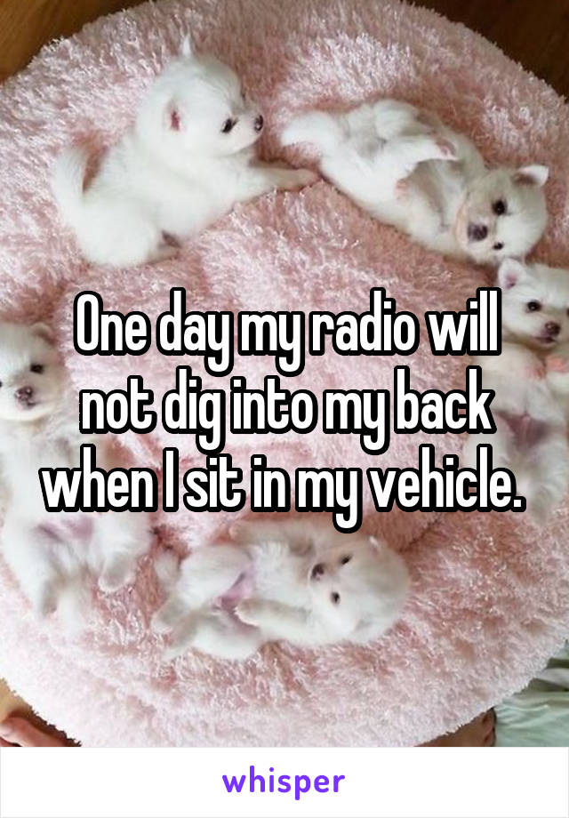 One day my radio will not dig into my back when I sit in my vehicle. 