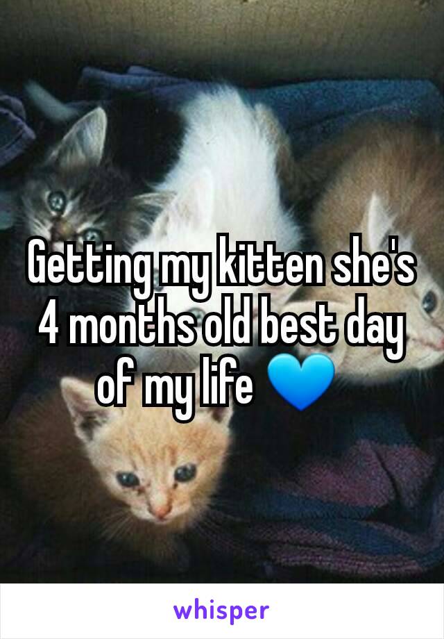 Getting my kitten she's 4 months old best day of my life 💙 