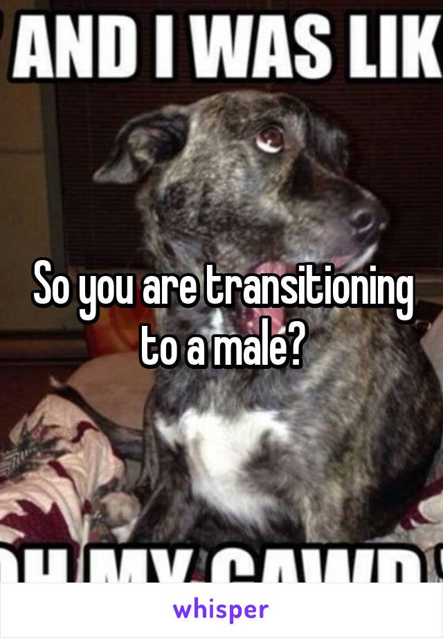 So you are transitioning to a male?