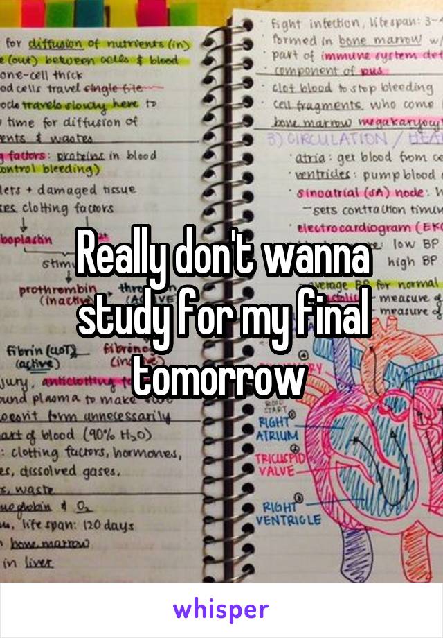 Really don't wanna study for my final tomorrow 