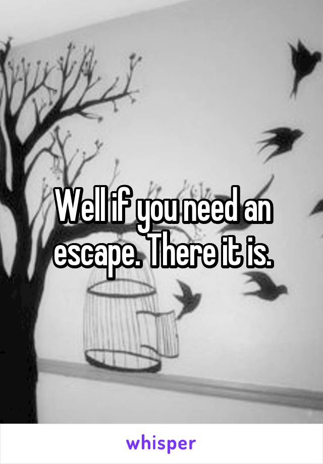 Well if you need an escape. There it is.