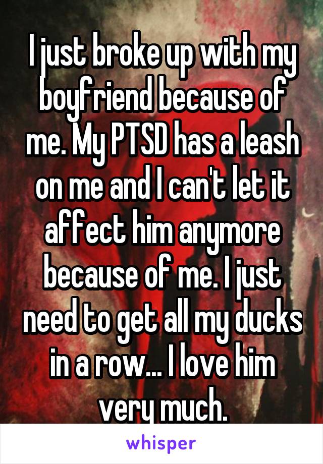 I just broke up with my boyfriend because of me. My PTSD has a leash on me and I can't let it affect him anymore because of me. I just need to get all my ducks in a row... I love him very much.