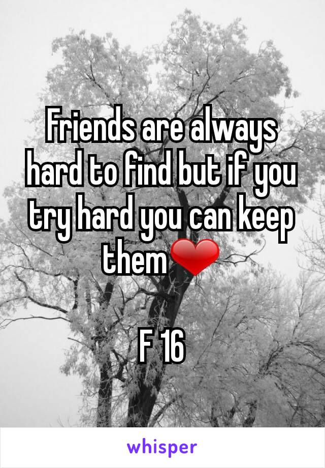 Friends are always hard to find but if you try hard you can keep them❤

F 16