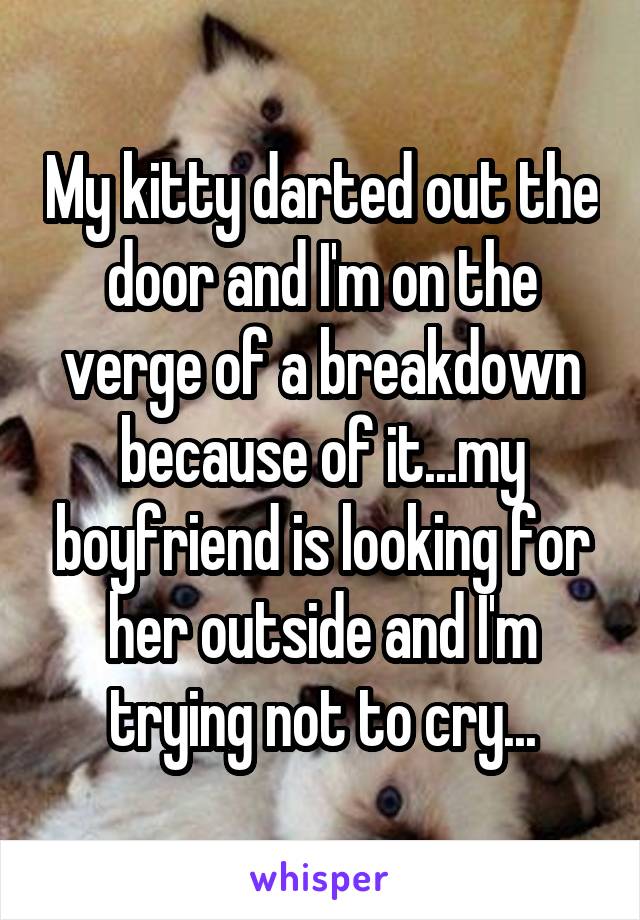 My kitty darted out the door and I'm on the verge of a breakdown because of it...my boyfriend is looking for her outside and I'm trying not to cry...