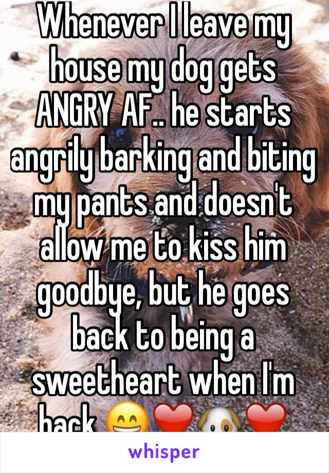 Whenever I leave my house my dog gets ANGRY AF.. he starts angrily barking and biting my pants and doesn't allow me to kiss him goodbye, but he goes back to being a sweetheart when I'm back 😁❤️🐶❤️