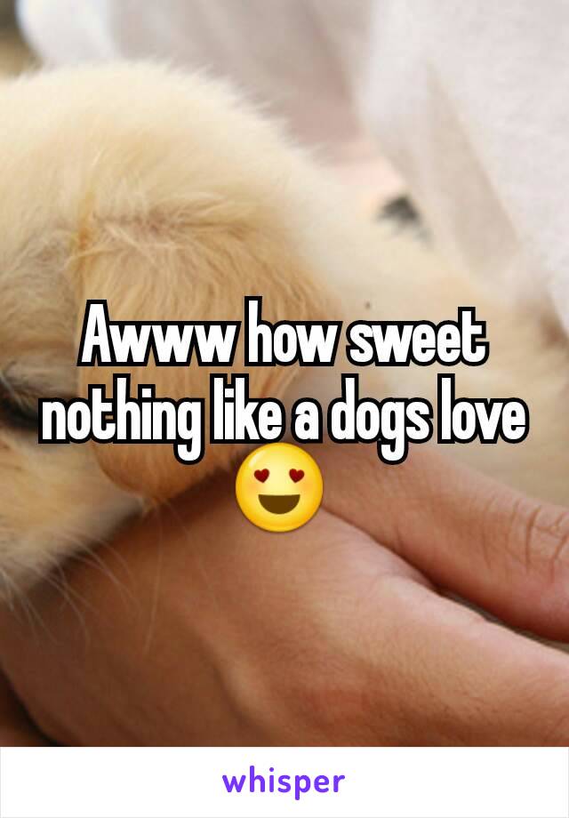 Awww how sweet nothing like a dogs love 😍 