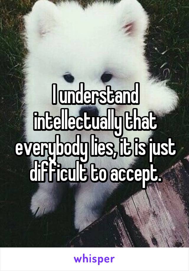 I understand intellectually that everybody lies, it is just difficult to accept.