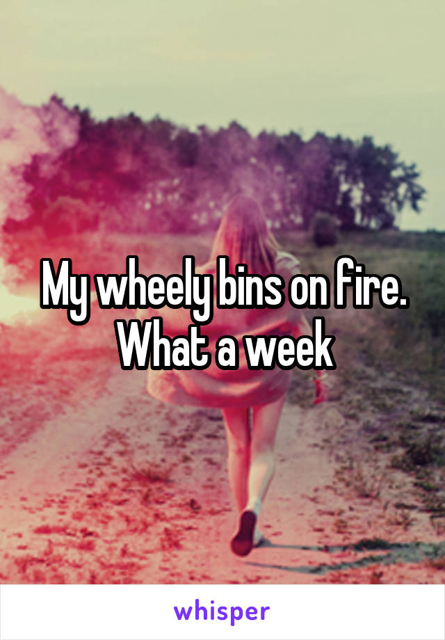 My wheely bins on fire. What a week