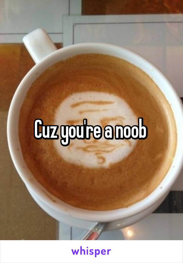 Cuz you're a noob 