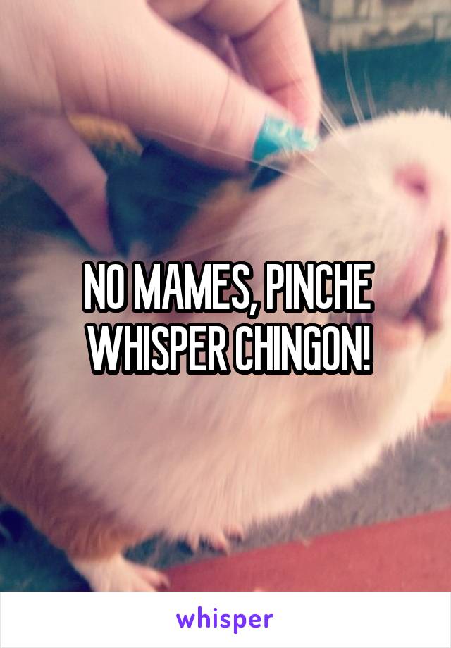 NO MAMES, PINCHE WHISPER CHINGON!