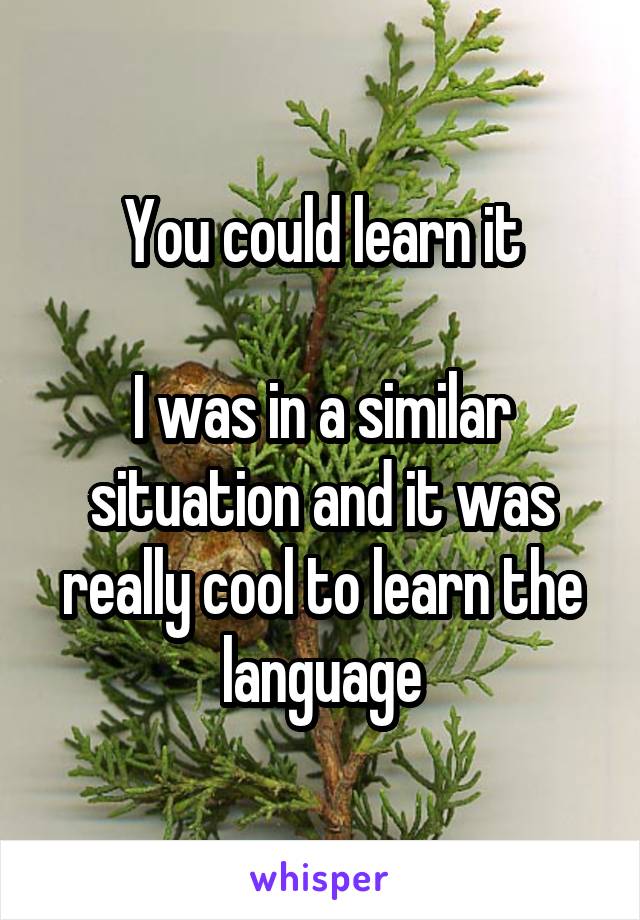 You could learn it

I was in a similar situation and it was really cool to learn the language