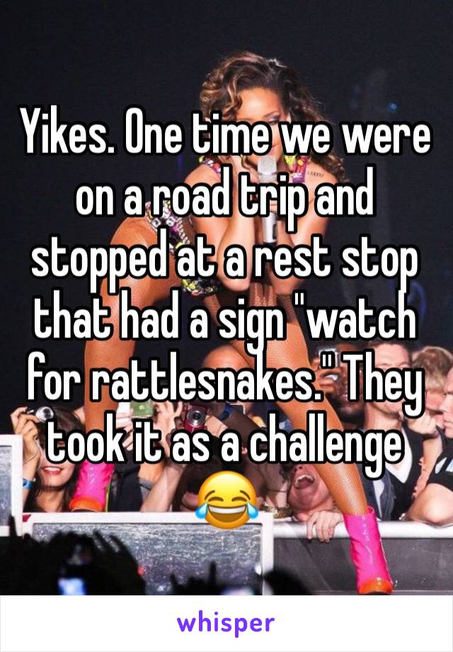 Yikes. One time we were on a road trip and stopped at a rest stop that had a sign "watch for rattlesnakes." They took it as a challenge 😂 