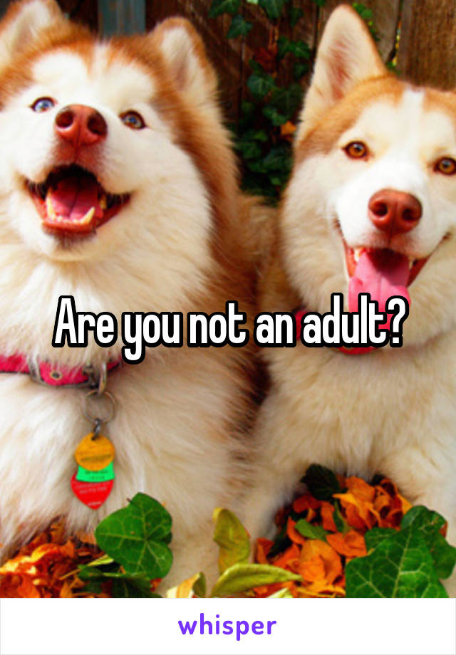 Are you not an adult?