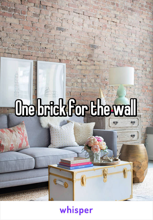 One brick for the wall 