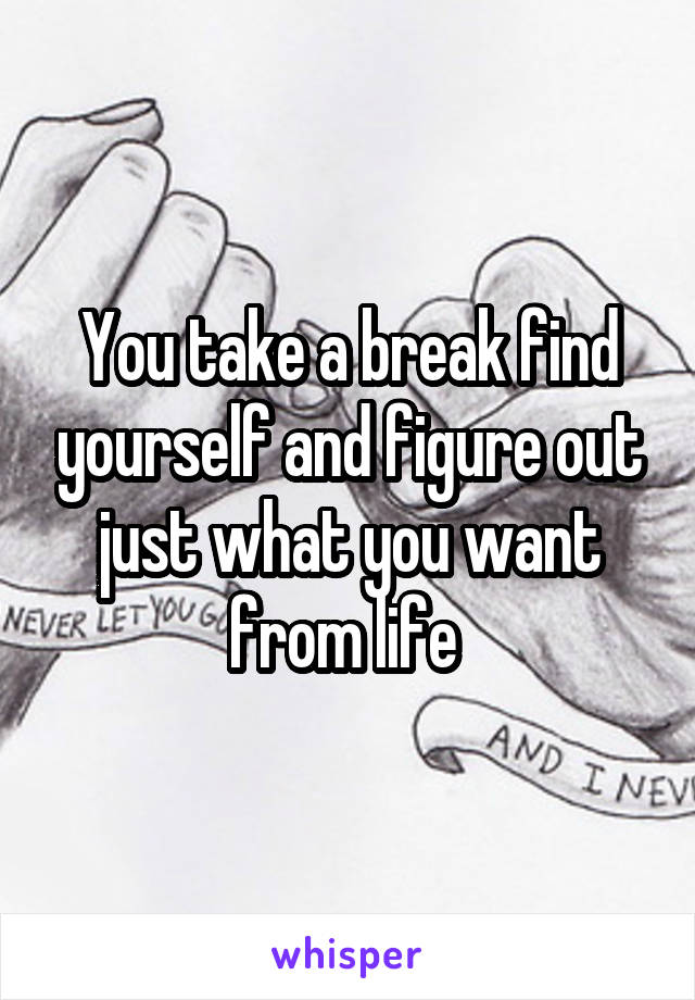 You take a break find yourself and figure out just what you want from life 