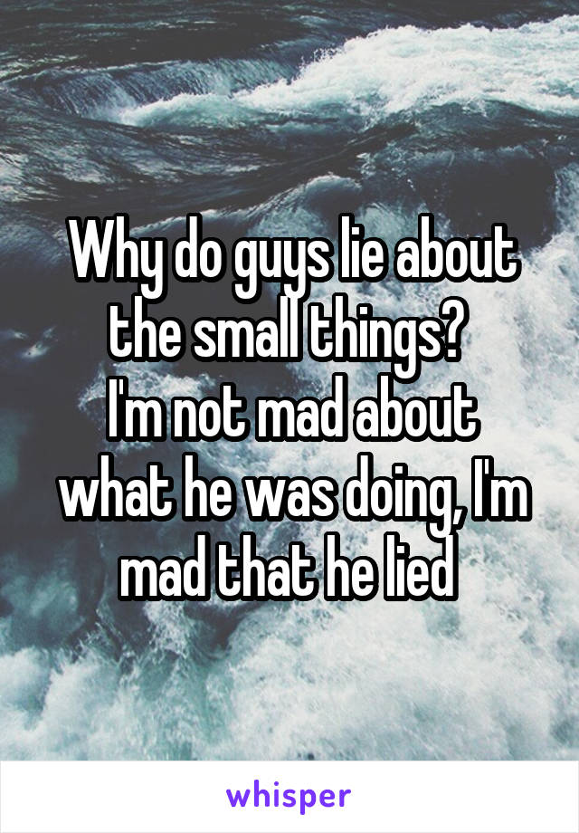Why do guys lie about the small things? 
I'm not mad about what he was doing, I'm mad that he lied 