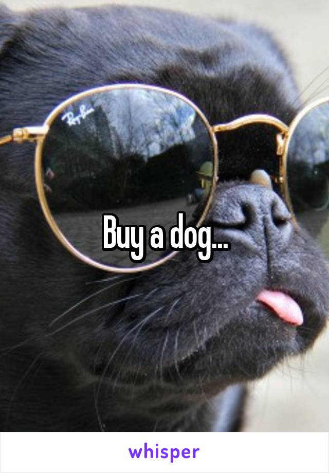 Buy a dog...