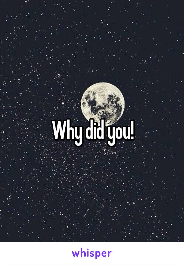 Why did you!