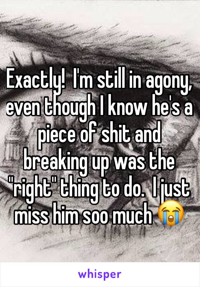 Exactly!  I'm still in agony, even though I know he's a piece of shit and breaking up was the "right" thing to do.  I just miss him soo much 😭