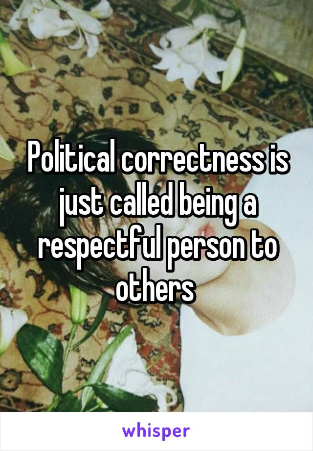 Political correctness is just called being a respectful person to others 