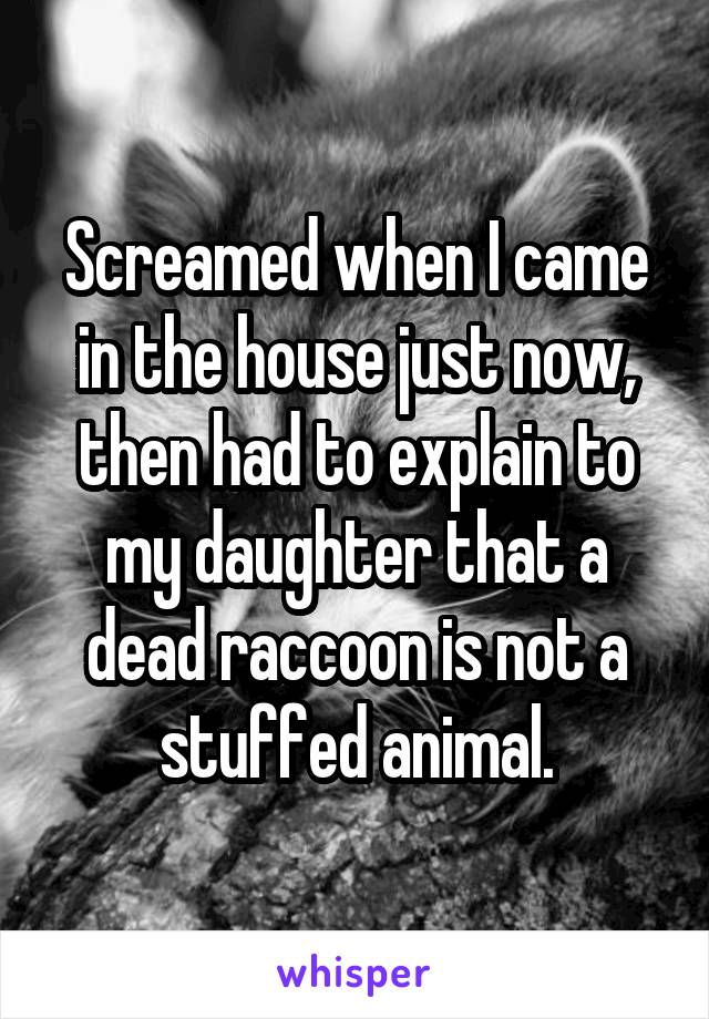 Screamed when I came in the house just now, then had to explain to my daughter that a dead raccoon is not a stuffed animal.