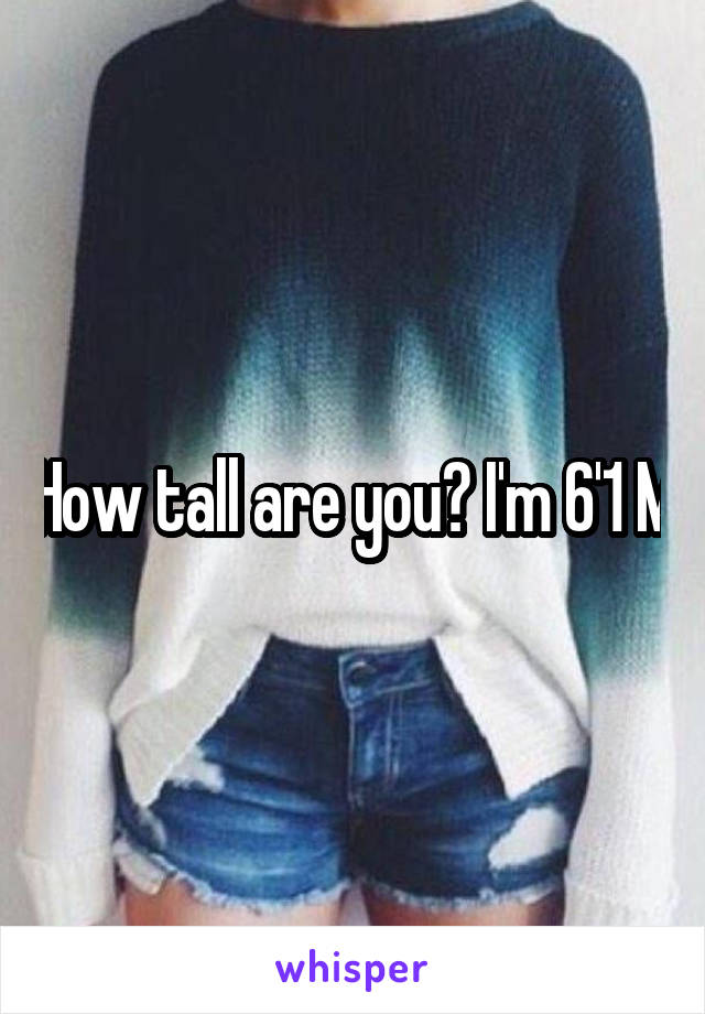 How tall are you? I'm 6'1 M