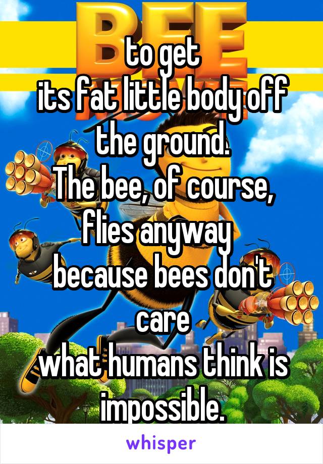 to get
its fat little body off the ground.
The bee, of course, flies anyway  
because bees don't care
what humans think is impossible.