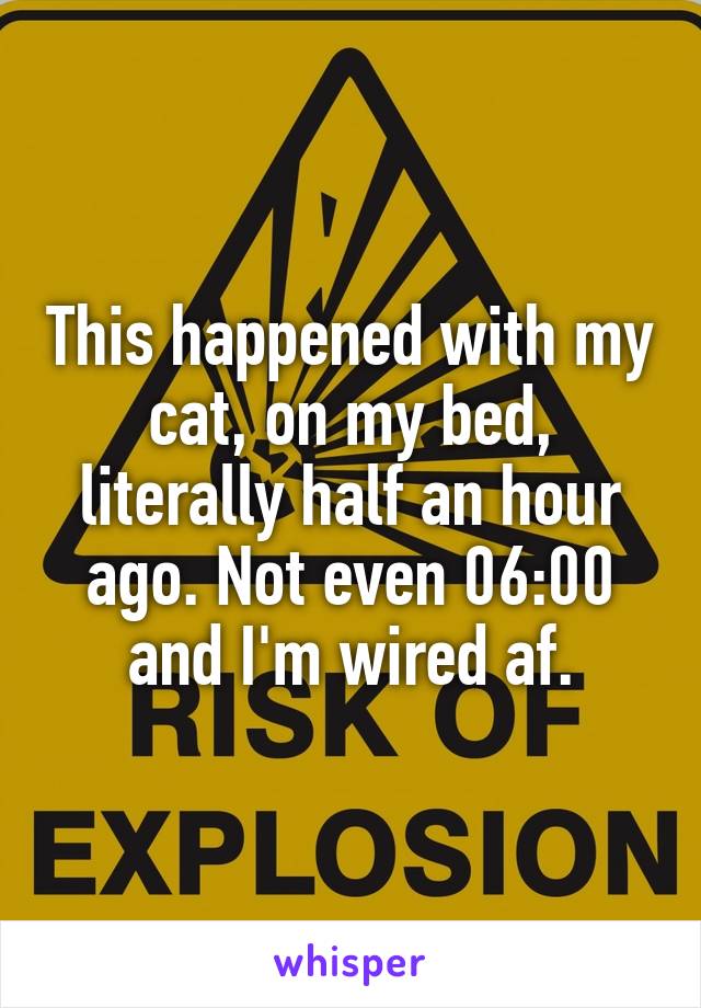 This happened with my cat, on my bed, literally half an hour ago. Not even 06:00 and I'm wired af.