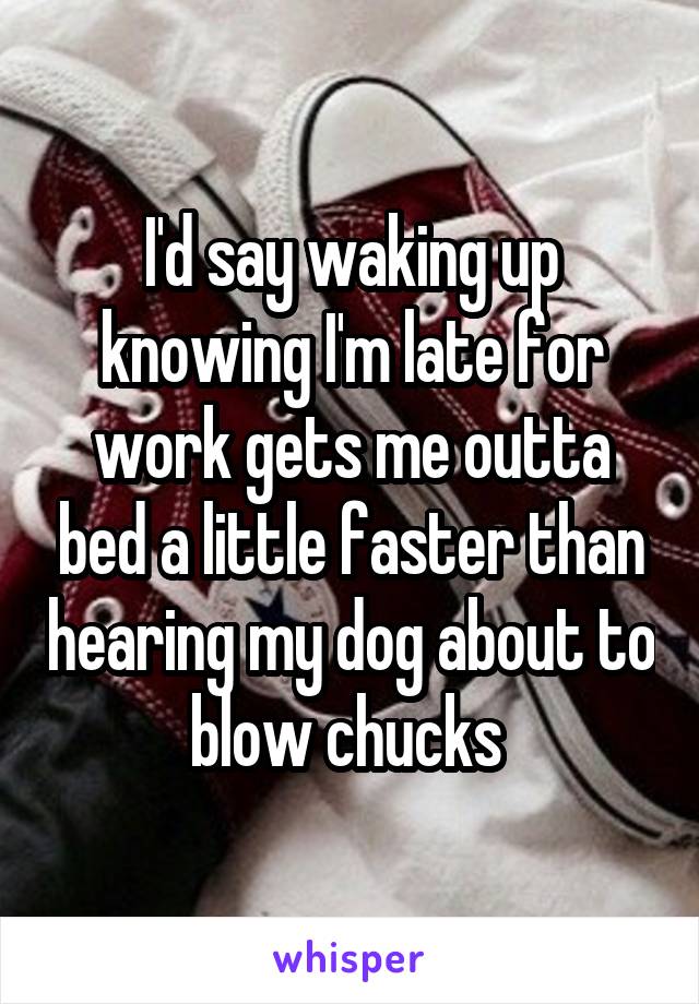 I'd say waking up knowing I'm late for work gets me outta bed a little faster than hearing my dog about to blow chucks 