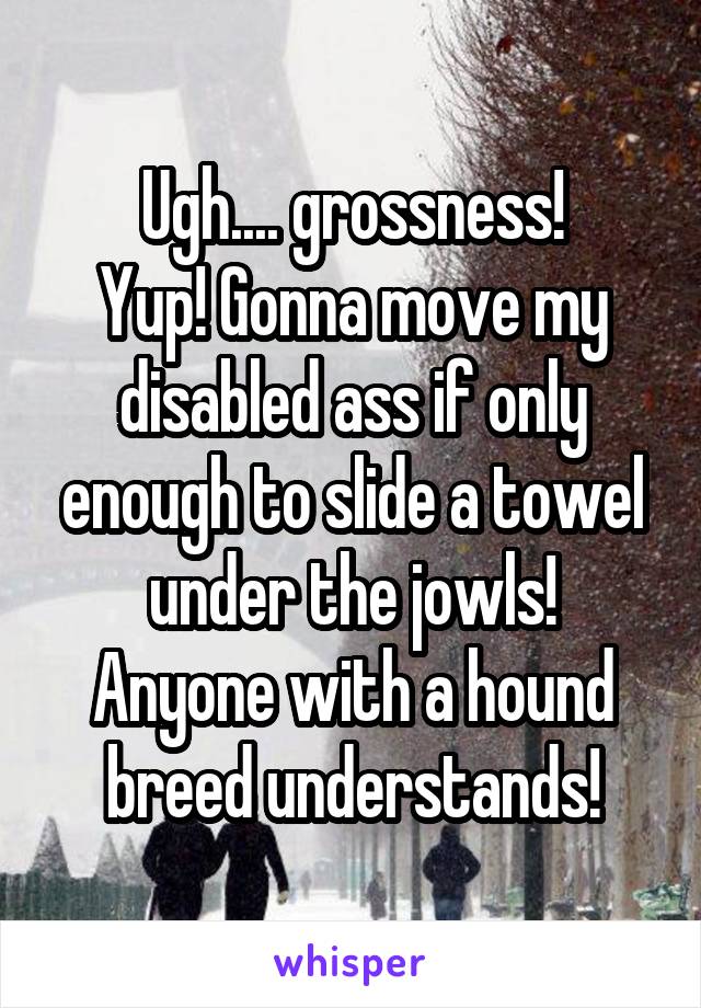 Ugh.... grossness!
Yup! Gonna move my disabled ass if only enough to slide a towel under the jowls!
Anyone with a hound breed understands!