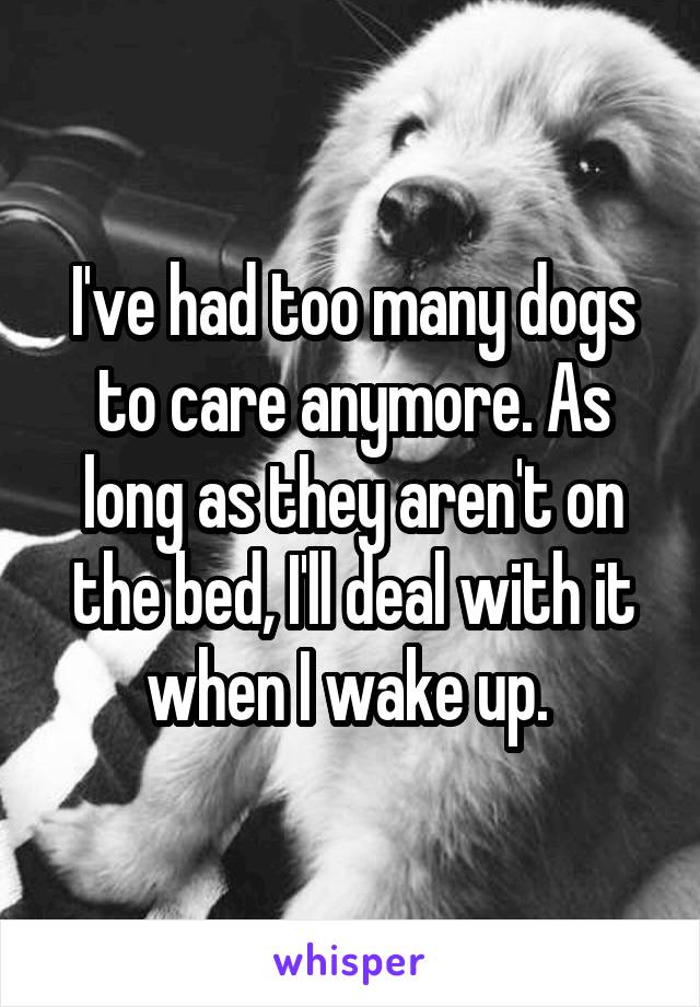 I've had too many dogs to care anymore. As long as they aren't on the bed, I'll deal with it when I wake up. 