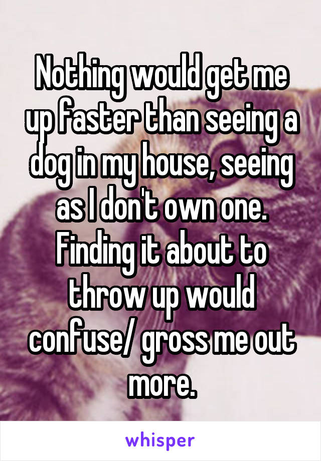 Nothing would get me up faster than seeing a dog in my house, seeing as I don't own one. Finding it about to throw up would confuse/ gross me out more.