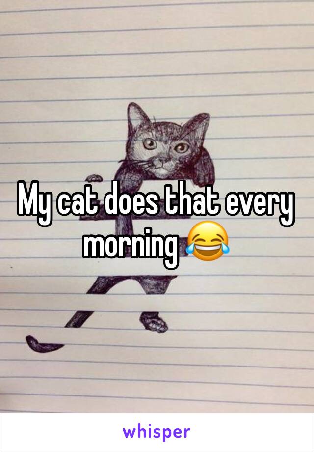 My cat does that every morning 😂