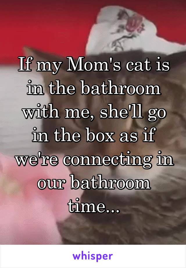 If my Mom's cat is in the bathroom with me, she'll go in the box as if we're connecting in our bathroom time...