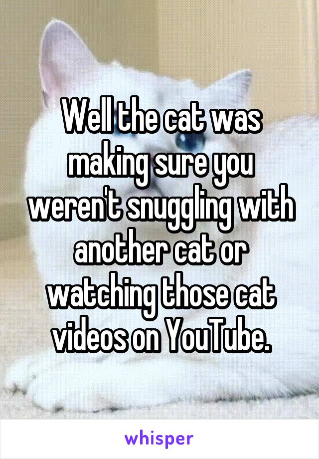 Well the cat was making sure you weren't snuggling with another cat or watching those cat videos on YouTube.