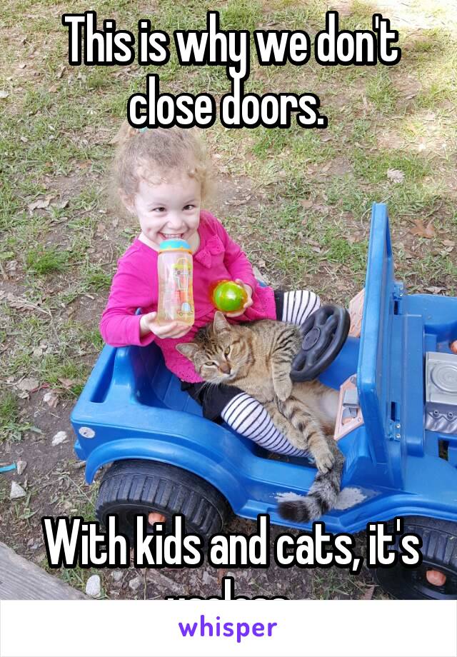 This is why we don't close doors. 






With kids and cats, it's useless.