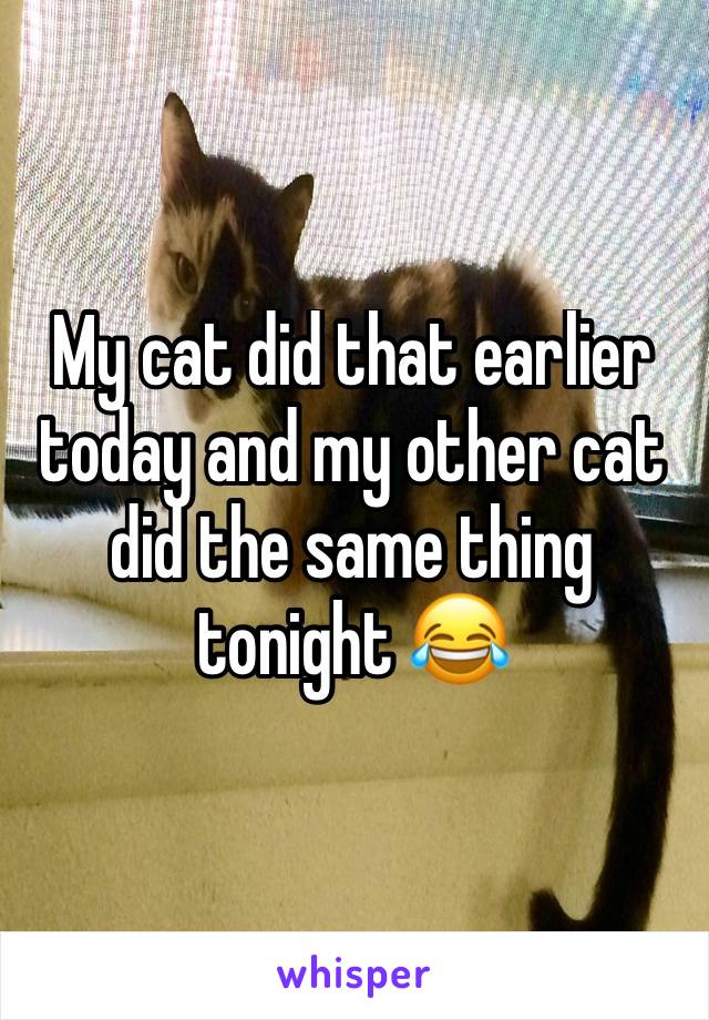 My cat did that earlier today and my other cat did the same thing tonight 😂