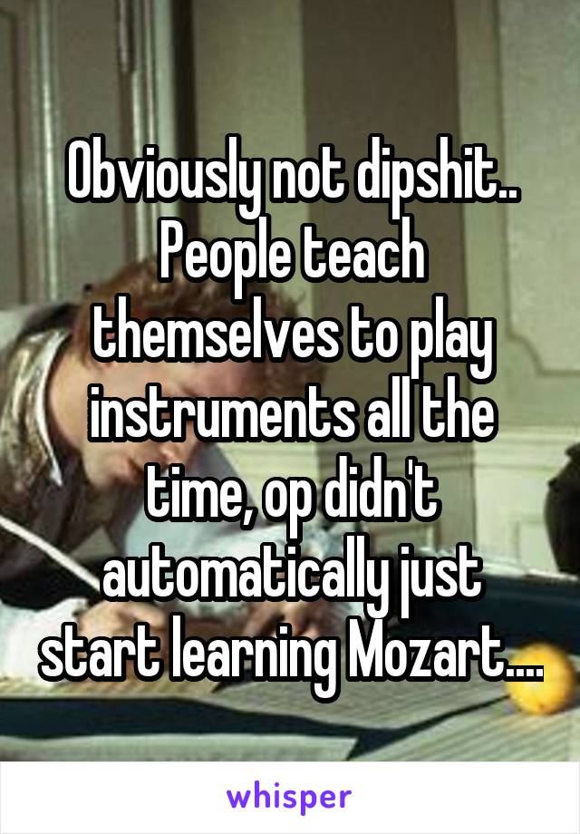 Obviously not dipshit.. People teach themselves to play instruments all the time, op didn't automatically just start learning Mozart....