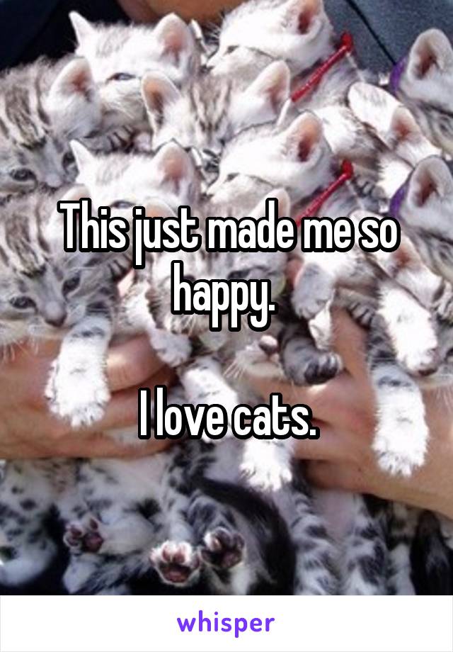 This just made me so happy. 

I love cats.