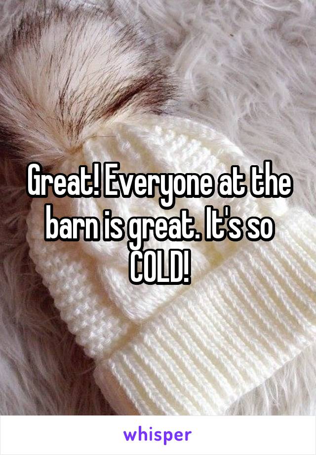 Great! Everyone at the barn is great. It's so COLD!