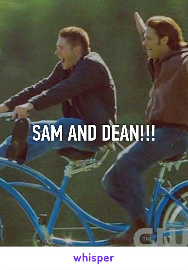 SAM AND DEAN!!!