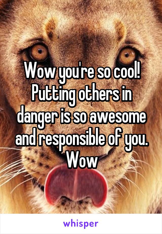 Wow you're so cool! Putting others in danger is so awesome and responsible of you. Wow