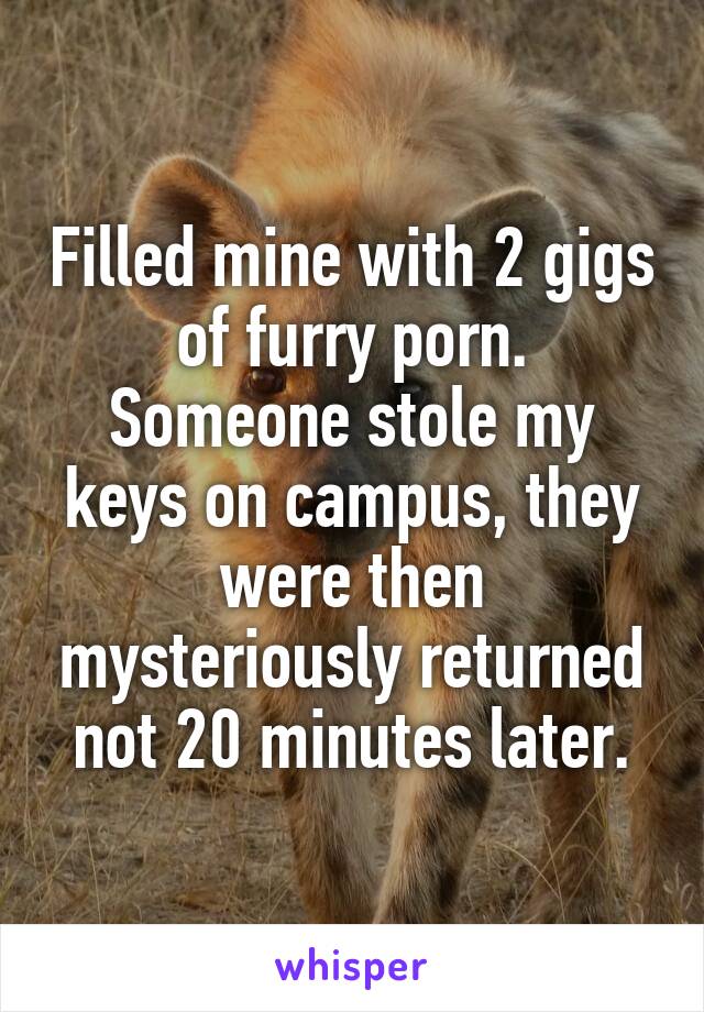 Filled mine with 2 gigs of furry porn.
Someone stole my keys on campus, they were then mysteriously returned not 20 minutes later.