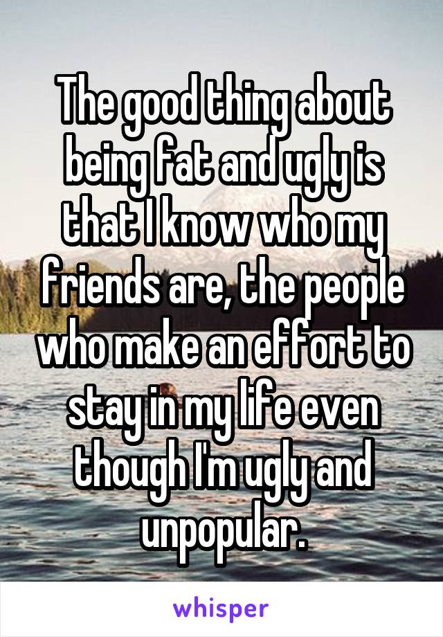 The good thing about being fat and ugly is that I know who my friends are, the people who make an effort to stay in my life even though I'm ugly and unpopular.