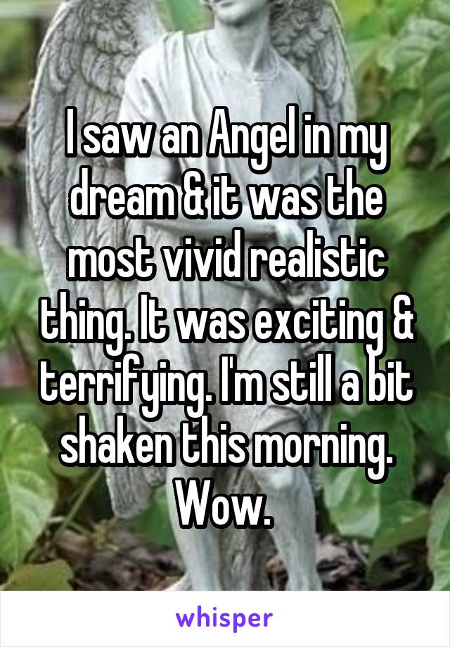 I saw an Angel in my dream & it was the most vivid realistic thing. It was exciting & terrifying. I'm still a bit shaken this morning. Wow. 
