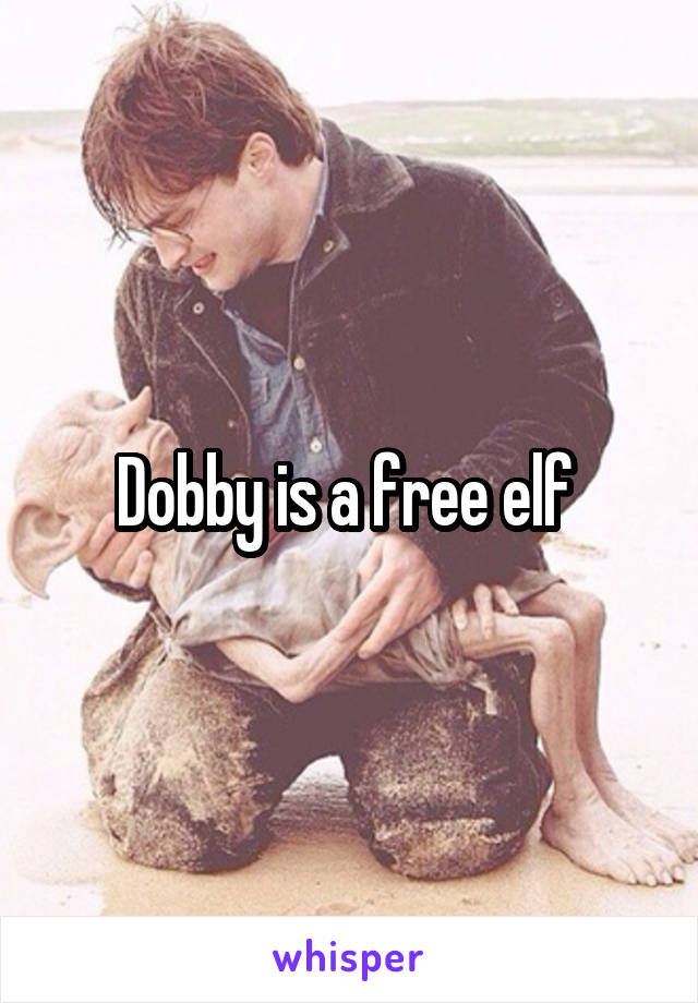 Dobby is a free elf 